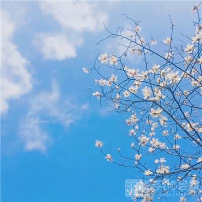 无尽洪荒手游正版下载